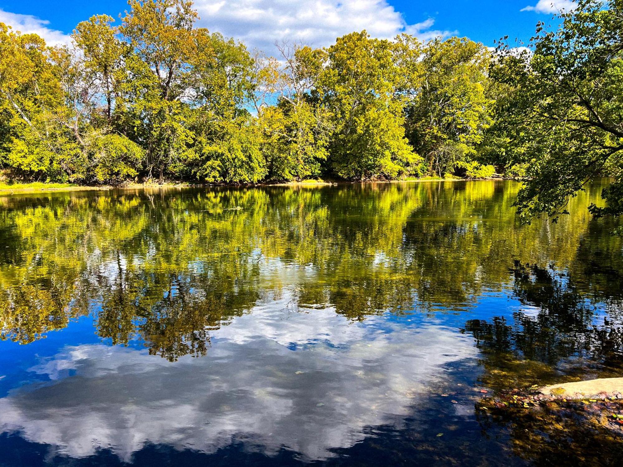 Luray Rv Resort On Shenandoah River Exteriér fotografie